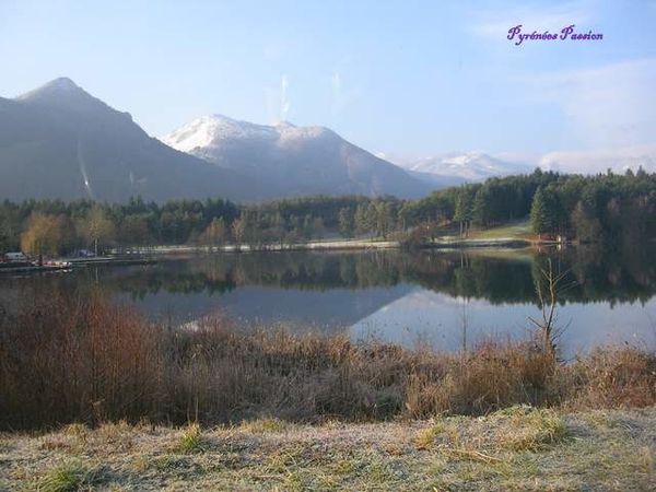 DSCN0354