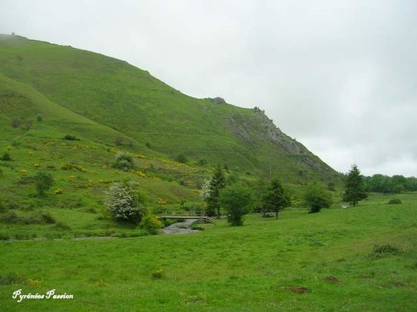 DSCN1174