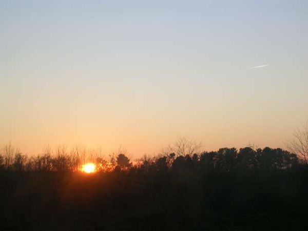 DSCN0235