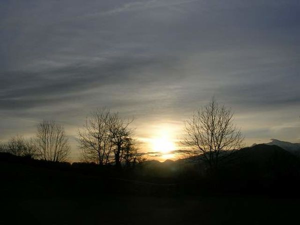 DSCN0239