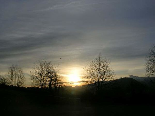 DSCN0240