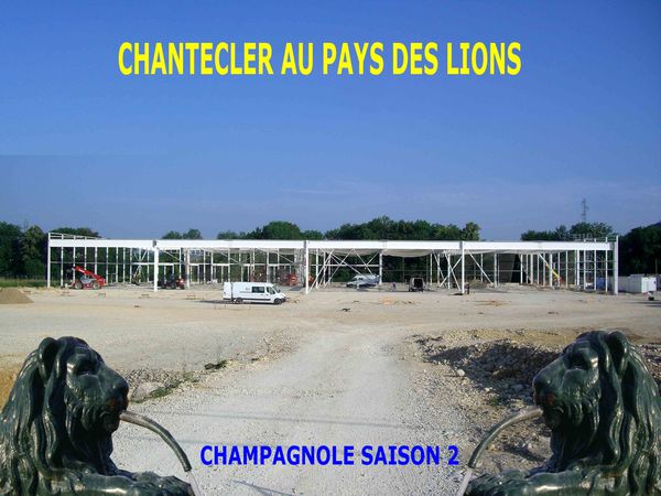 Chantecler au pays des Lions