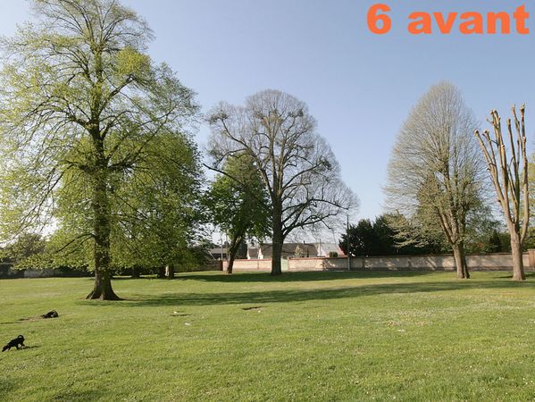 6-Abd.jpg