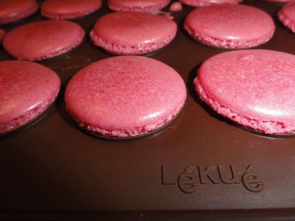 plaque-a-macarons-Lekue.JPG