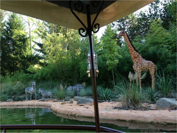 africa-cruise-nigloland-zebres.jpg