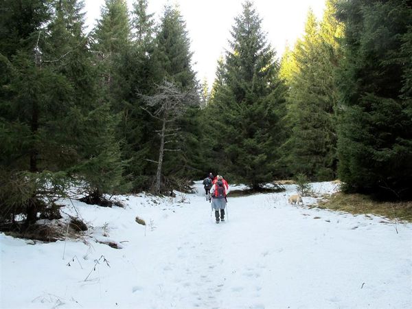 Puy de la vache 30 01 13 (14)