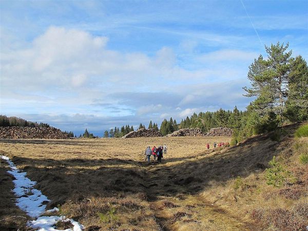 Puy de la vache 30 01 13 (20)
