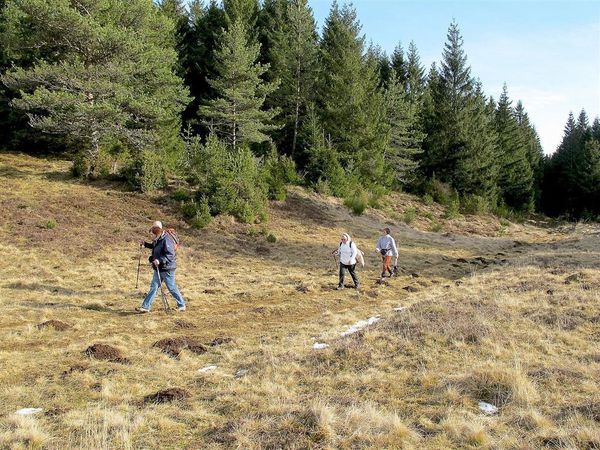 Puy de la vache 30 01 13 (23)