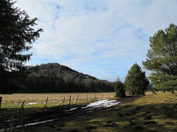 Puy de la vache 30 01 13 (29)
