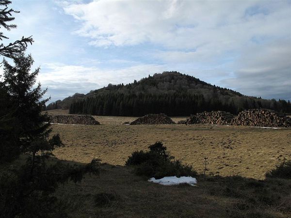 Puy de la vache 30 01 13 (31)