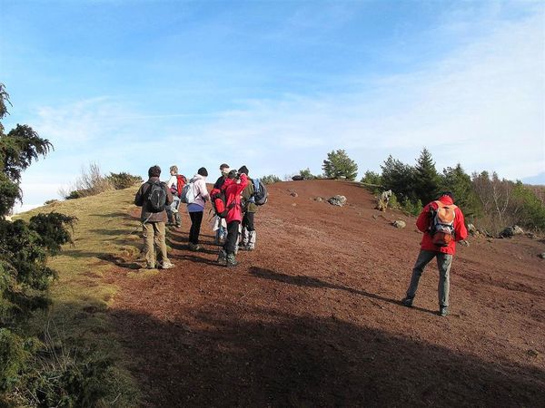 Puy de la vache 30 01 13 (39)