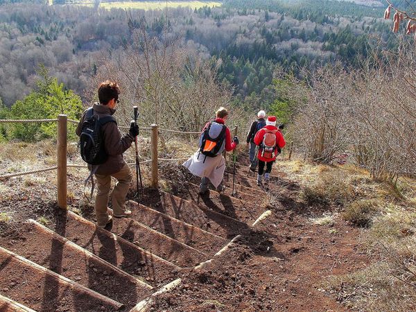 Puy de la vache 30 01 13 (60)