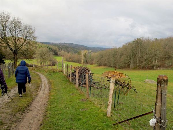 2013 02 02 Des Ribes au Miodet 017 (Large)