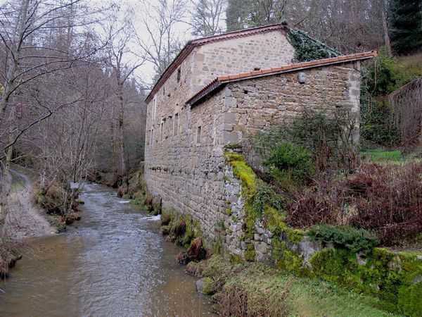 2013 02 02 Des Ribes au Miodet 021 (Large)