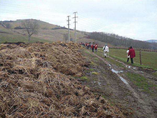 1) Mezel 13 02 13 (40)