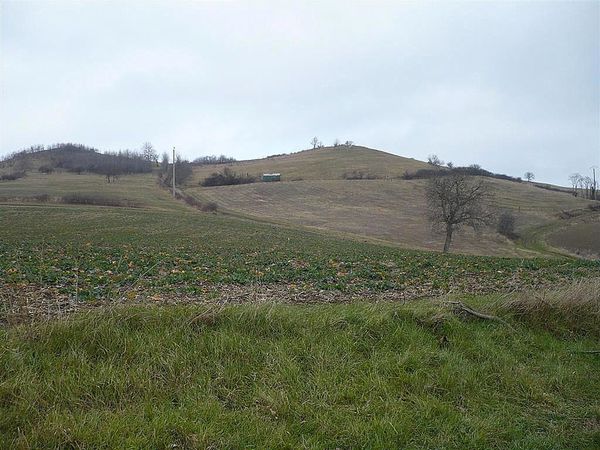 1) Mezel 13 02 13 (41)