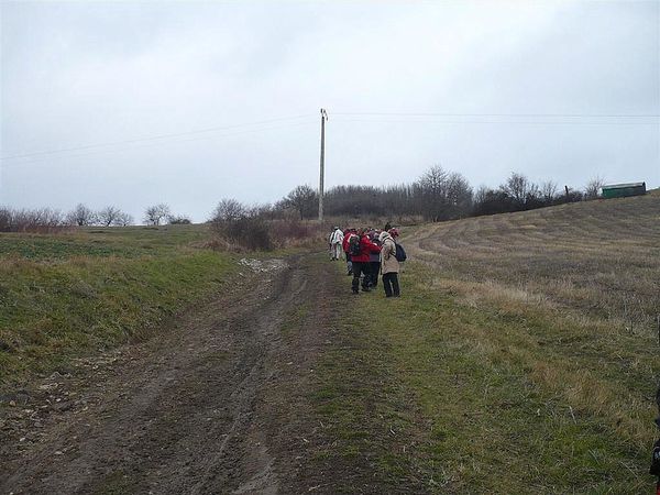1) Mezel 13 02 13 (43)