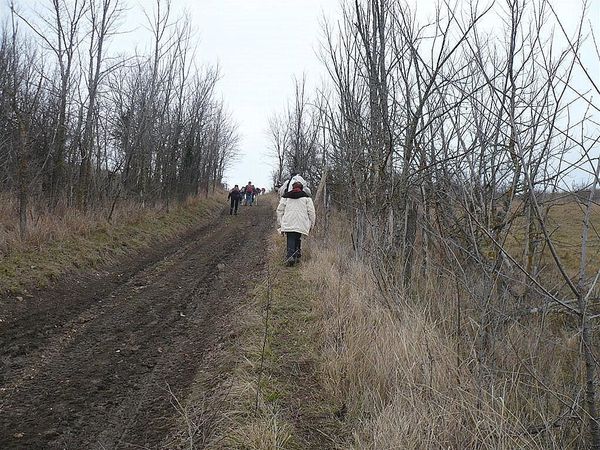 1) Mezel 13 02 13 (45)