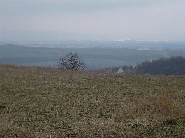 1) Mezel 13 02 13 (49)