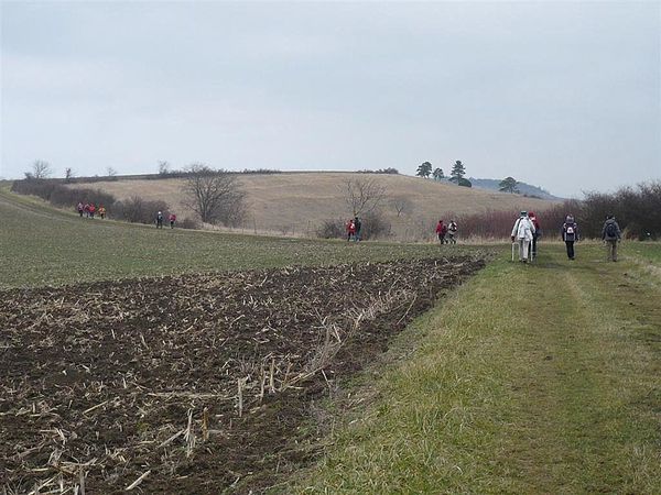 1) Mezel 13 02 13 (53)