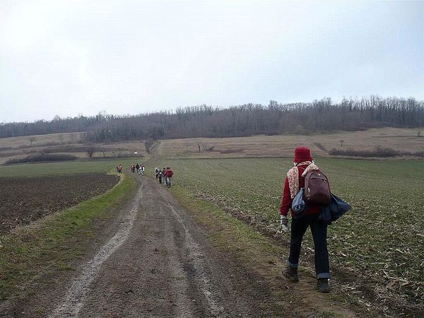 1) Mezel 13 02 13 (61)