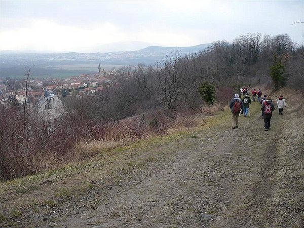 1) Mezel 13 02 13 (70)