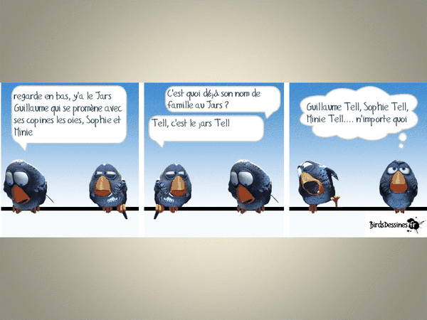 birds2
