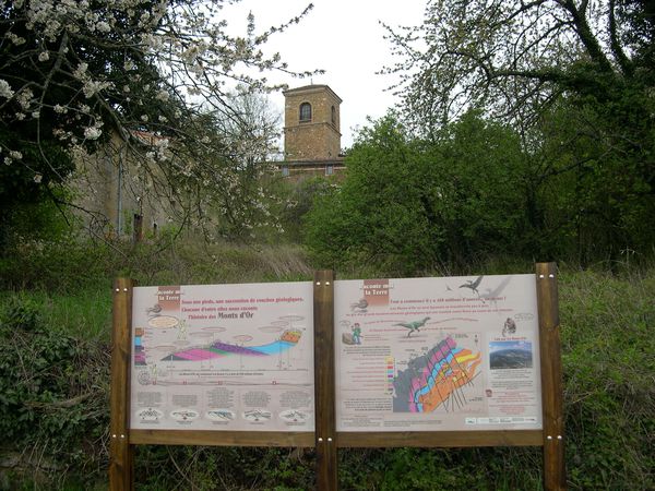 sentier geol y (20)