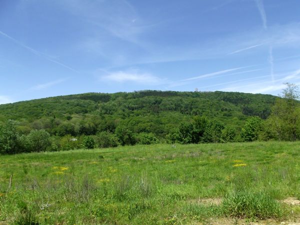 DSCF0456