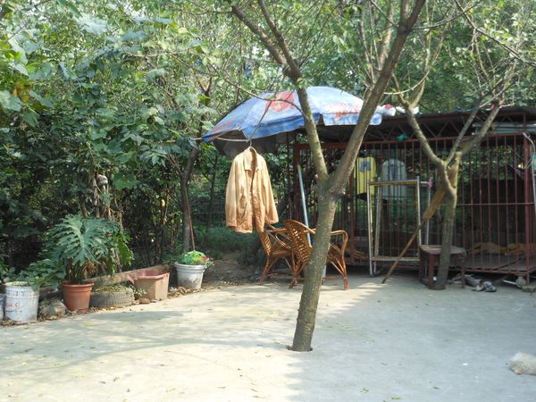 DSCN8013.JPG