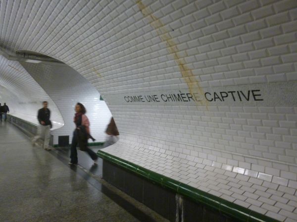 P1520400.JPG