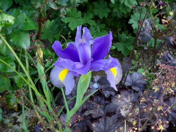 DSC08955.JPG
