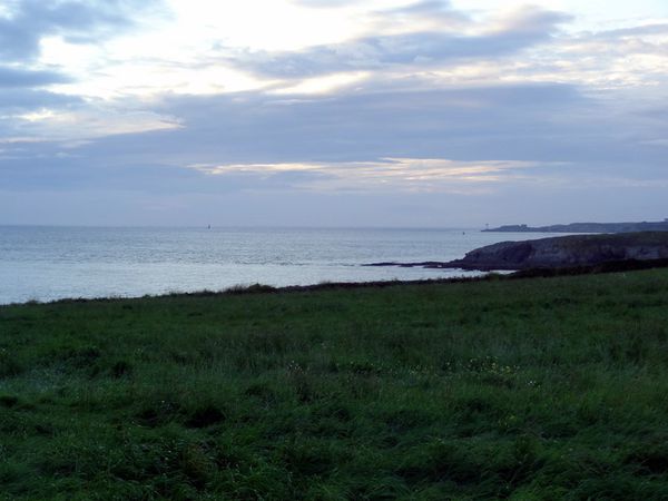 DSC09119.JPG