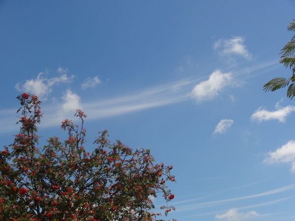 DSC09872.JPG