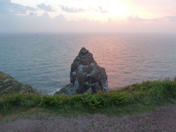P1190251.JPG