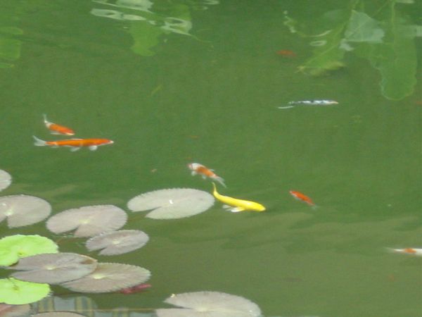 Photo-113.jpg