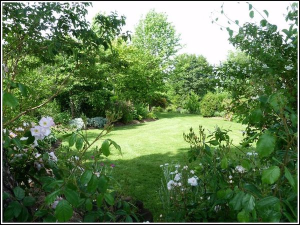 vue-parc.jpg