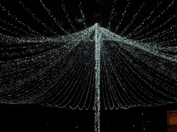 champignon-de-lumiere.jpg
