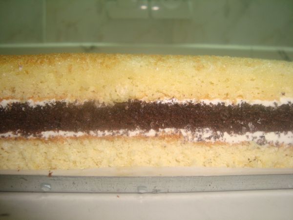 الجيريا