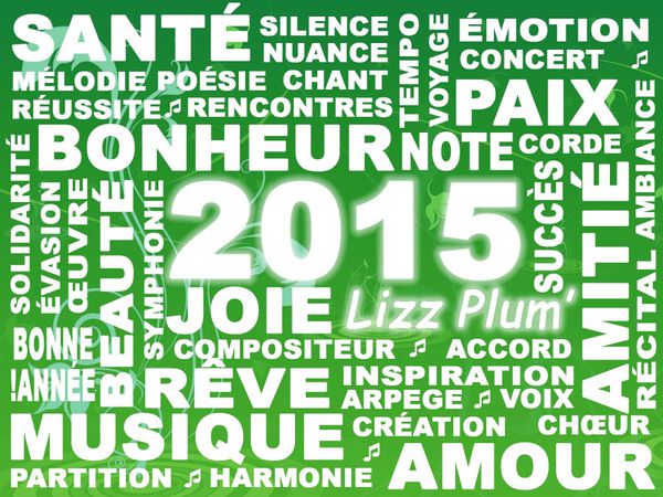Bonne-Année-de-Lizz-Plum-2015