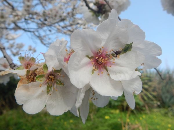 DSCN7786.JPG