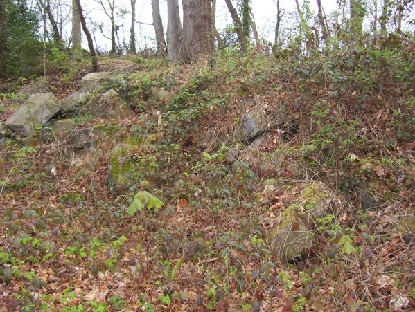 photo-057.jpg