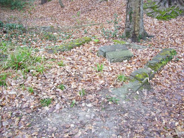 photo-059.jpg