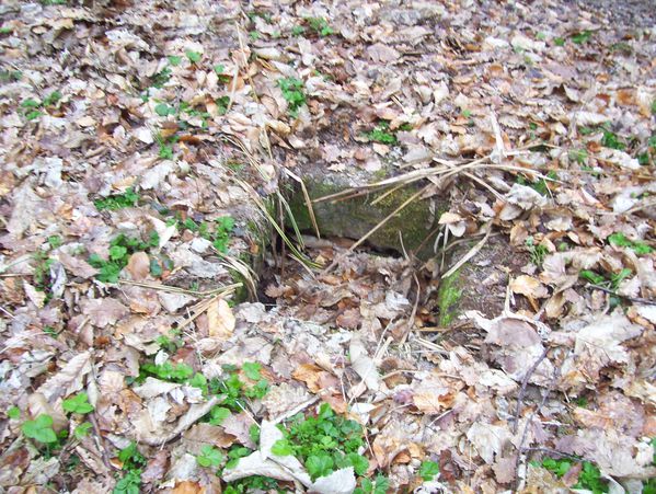 photo-060.jpg