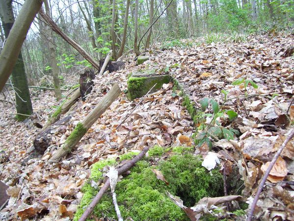 photo-061.jpg