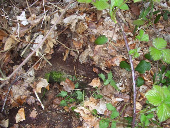 photo-062.jpg