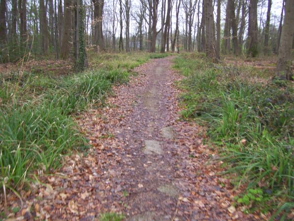 photo-063.jpg
