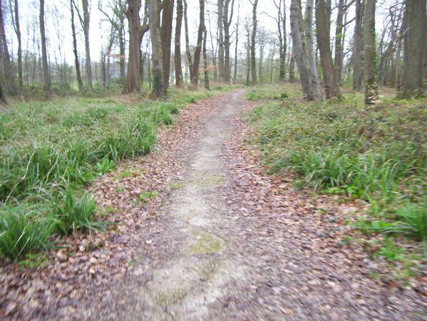 photo-064.jpg