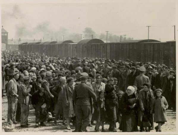 convoi Auschwitz (8) 268 34-36 3