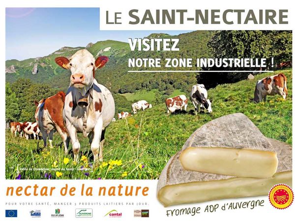 saint-nectaire-2011-2.jpg